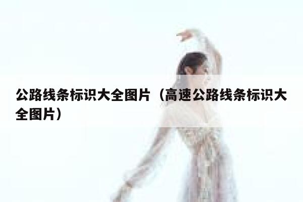 公路线条标识大全图片（高速公路线条标识大全图片） 第1张