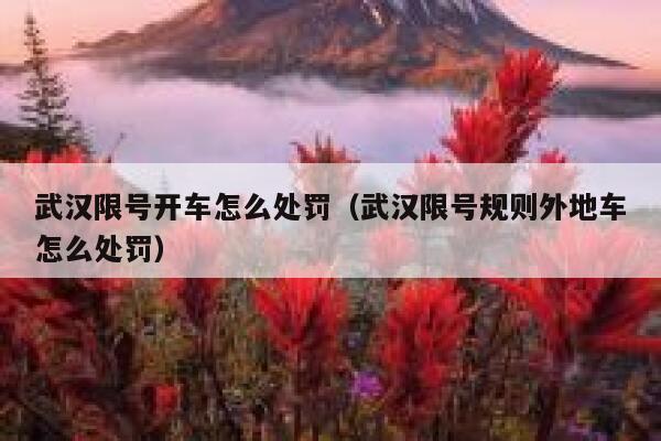 武汉限号开车怎么处罚（武汉限号规则外地车怎么处罚） 第1张