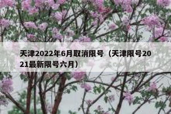 天津2022年6月取消限号（天津限号2021最新限号六月） 第1张