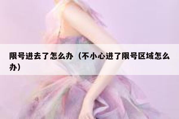 限号进去了怎么办（不小心进了限号区域怎么办） 第1张