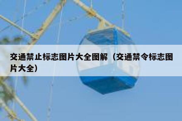 交通禁止标志图片大全图解（交通禁令标志图片大全） 第1张