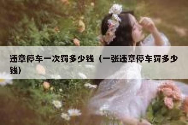 违章停车一次罚多少钱（一张违章停车罚多少钱） 第1张
