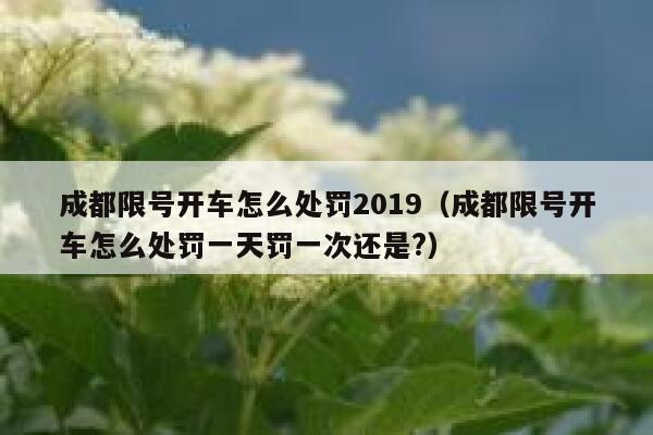 成都限号开车怎么处罚2019（成都限号开车怎么处罚一天罚一次还是?） 第1张