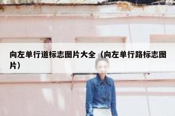 向左单行道标志图片大全（向左单行路标志图片） 第1张