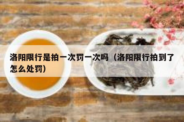 洛阳限行是拍一次罚一次吗（洛阳限行拍到了怎么处罚） 第1张
