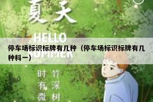 停车场标识标牌有几种（停车场标识标牌有几种科一） 第1张