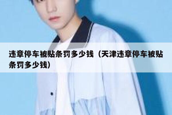 违章停车被贴条罚多少钱（天津违章停车被贴条罚多少钱） 第1张