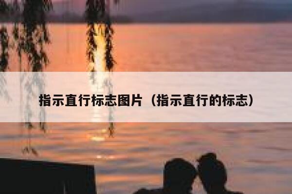 指示直行标志图片（指示直行的标志） 第1张