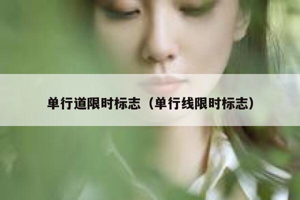 单行道限时标志（单行线限时标志） 第1张