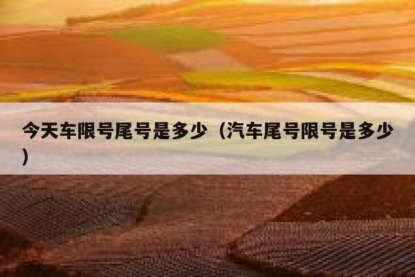 今天车限号尾号是多少（汽车尾号限号是多少） 第1张