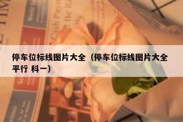 停车位标线图片大全（停车位标线图片大全 平行 科一） 第1张