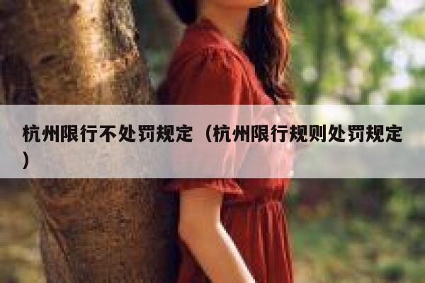 杭州限行不处罚规定（杭州限行规则处罚规定） 第1张
