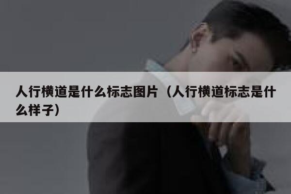 人行横道是什么标志图片（人行横道标志是什么样子） 第1张