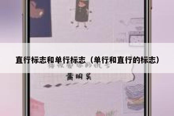 直行标志和单行标志（单行和直行的标志） 第1张