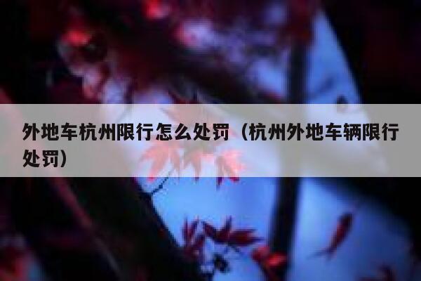 外地车杭州限行怎么处罚（杭州外地车辆限行处罚） 第1张