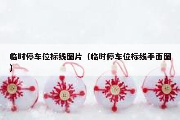 临时停车位标线图片（临时停车位标线平面图） 第1张