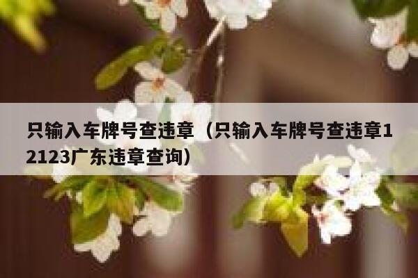 只输入车牌号查违章（只输入车牌号查违章12123广东违章查询） 第1张