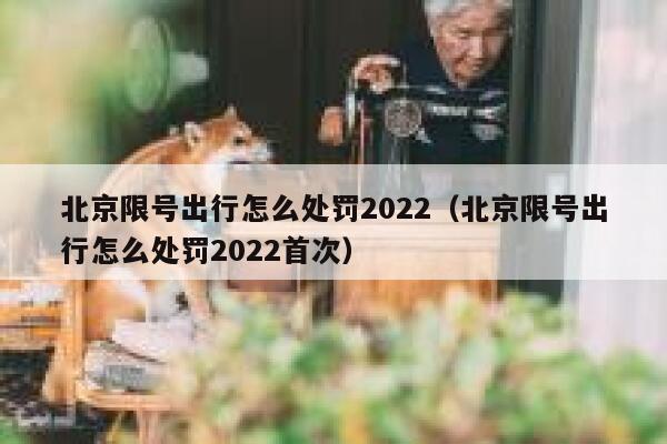 北京限号出行怎么处罚2022（北京限号出行怎么处罚2022首次） 第1张