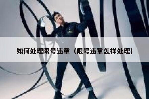 如何处理限号违章（限号违章怎样处理） 第1张