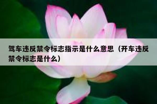 驾车违反禁令标志指示是什么意思（开车违反禁令标志是什么） 第1张