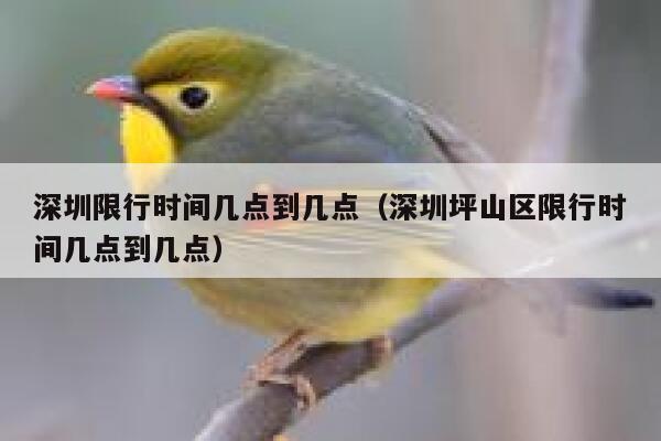 深圳限行时间几点到几点（深圳坪山区限行时间几点到几点） 第1张