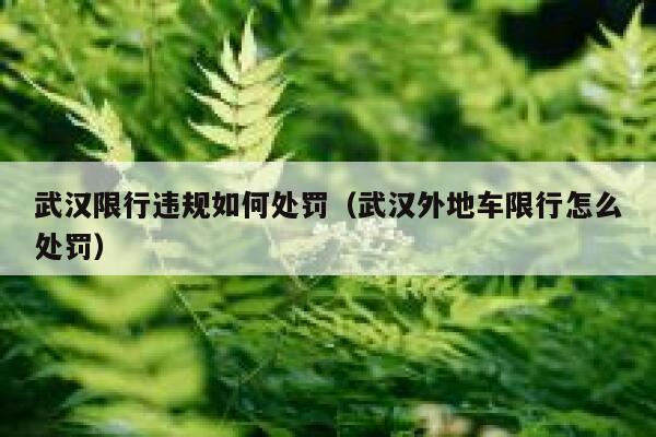 武汉限行违规如何处罚（武汉外地车限行怎么处罚） 第1张