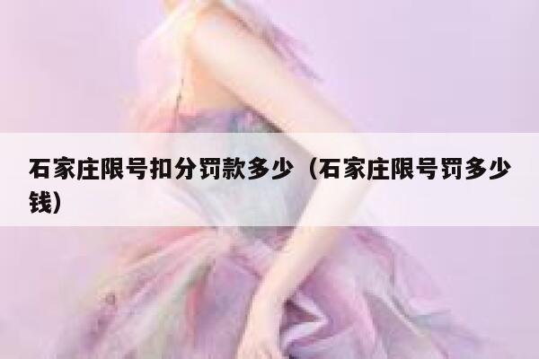 石家庄限号扣分罚款多少（石家庄限号罚多少钱） 第1张