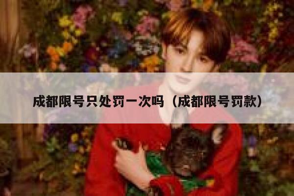 成都限号只处罚一次吗（成都限号罚款） 第1张