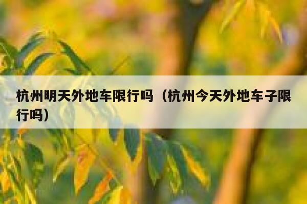 杭州明天外地车限行吗（杭州今天外地车子限行吗） 第1张