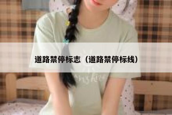 道路禁停标志（道路禁停标线） 第1张