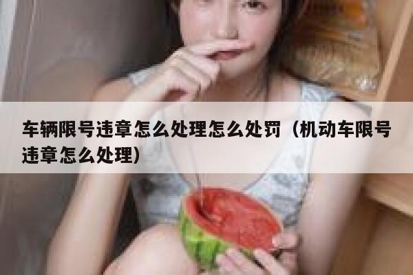 车辆限号违章怎么处理怎么处罚（机动车限号违章怎么处理） 第1张