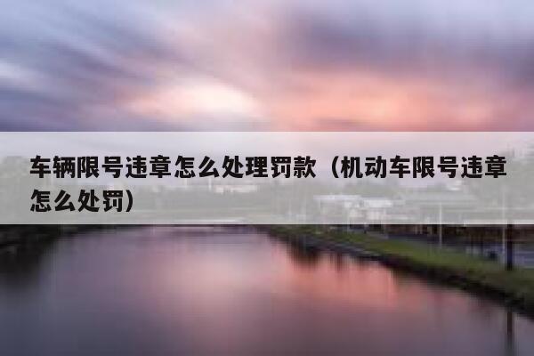 车辆限号违章怎么处理罚款（机动车限号违章怎么处罚） 第1张