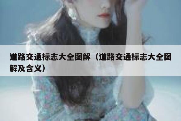 道路交通标志大全图解（道路交通标志大全图解及含义） 第1张