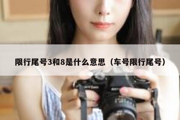 限行尾号3和8是什么意思（车号限行尾号） 第1张