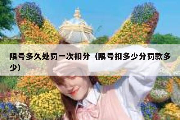 限号多久处罚一次扣分（限号扣多少分罚款多少） 第1张