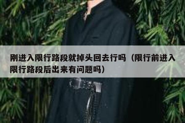 刚进入限行路段就掉头回去行吗（限行前进入限行路段后出来有问题吗） 第1张