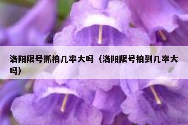 洛阳限号抓拍几率大吗（洛阳限号拍到几率大吗） 第1张