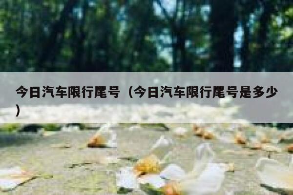 今日汽车限行尾号（今日汽车限行尾号是多少） 第1张