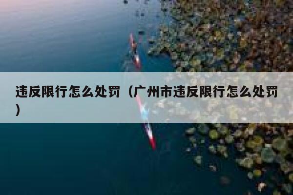 违反限行怎么处罚（广州市违反限行怎么处罚） 第1张