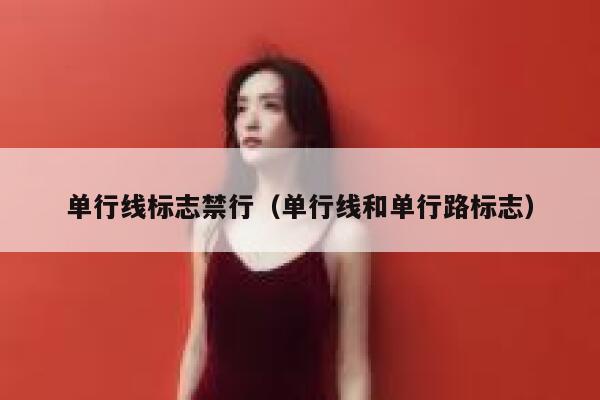 单行线标志禁行（单行线和单行路标志） 第1张