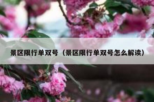 景区限行单双号（景区限行单双号怎么解读） 第1张