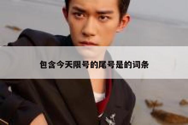 包含今天限号的尾号是的词条 第1张