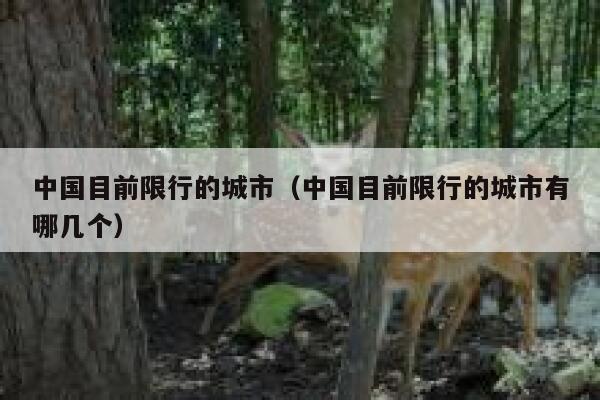 中国目前限行的城市（中国目前限行的城市有哪几个） 第1张