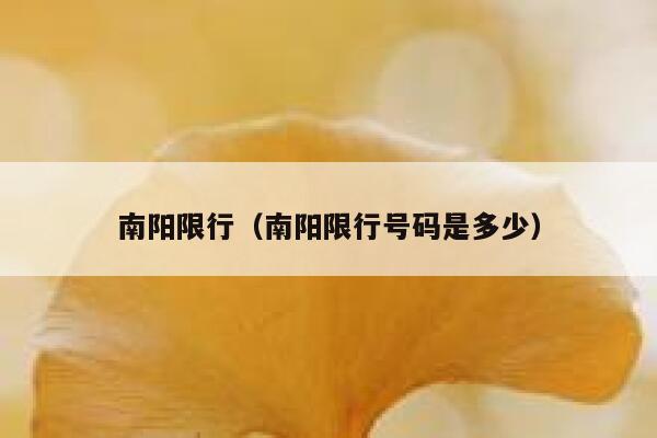 南阳限行（南阳限行号码是多少） 第1张