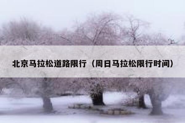 北京马拉松道路限行（周日马拉松限行时间） 第1张