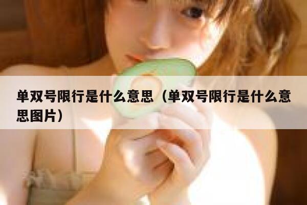 单双号限行是什么意思（单双号限行是什么意思图片） 第1张