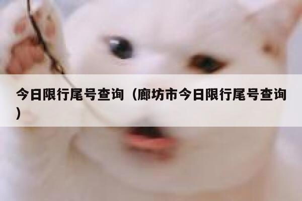 今日限行尾号查询（廊坊市今日限行尾号查询） 第1张