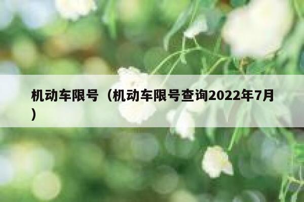 机动车限号（机动车限号查询2022年7月） 第1张