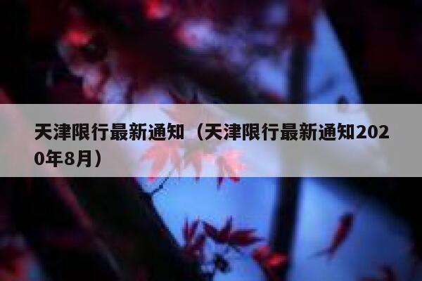 天津限行最新通知（天津限行最新通知2020年8月） 第1张