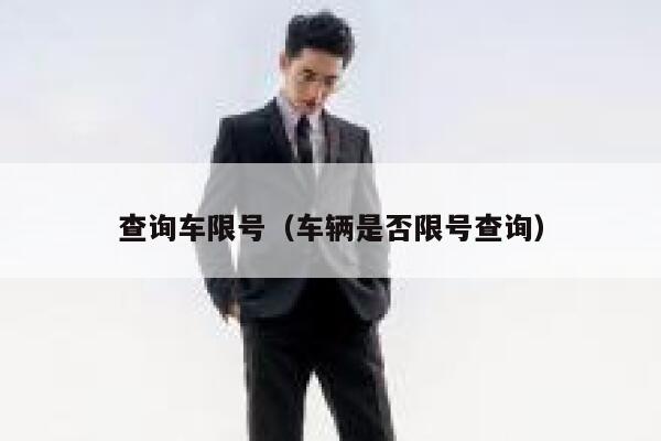 查询车限号（车辆是否限号查询） 第1张